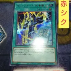 マジックカード死者蘇生　赤シク　シークレット
