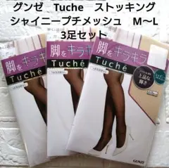グンゼ　トゥシェ　Tuche ストッキング シャイニープチメッシュ　М〜L