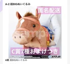 2025年最新】サリオス ぬいぐるみ bigの人気アイテム - メルカリ
