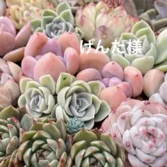 くまさんハウス