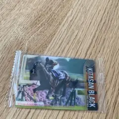 サラブレッドホースコレクション　キタサンブラック