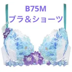 【B75M】ワコール❤︎ルジェ ハッピーFITブラ&ショーツ WH