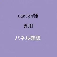 パネル確認