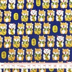 招き柴犬　スケア　花紺　約108×50cm