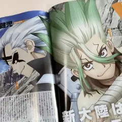 Dr.STONE Newtype 9月号 記事 切り抜き