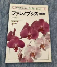 NHK 趣味の園芸 作業12か月 32 ファレノプシス 胡蝶蘭