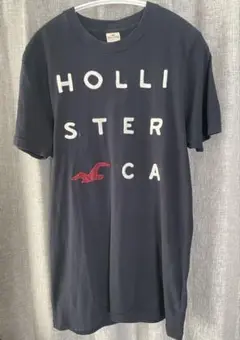 HOLLISTER ロゴ 刺繍 XL ビックサイズ　ビックシルエット