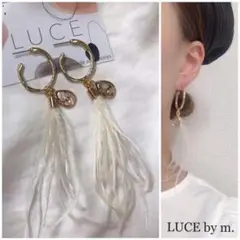 Item thumbnail for item aa31d736-9d5d-45e1-baa4-dc928b054797