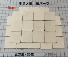 【牛ヌメ革】正方形四角(角R) タグ型抜き★3cm30枚〈ナチュラル〉