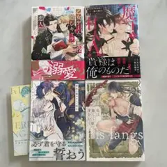 乙女ゲームの悪役が、隠しキャラを恋人になんかするもんじゃない　他　4冊セット