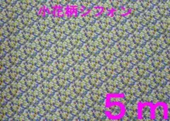 Item thumbnail for item 45a18e5c-532b-492e-9c3c-43660fc46c3e