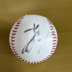 千賀滉大選手 サインボール 千賀滉大選手＃34 NYメッツ直筆Kanjiサイン&GU GHOST FORK