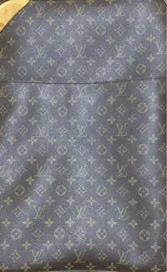 LUIS VUITTON ルイヴィトン ペガス55キャリーバッグ
