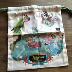 東京ディズニーシー　ファンタジースプリングス　ピータパン