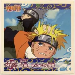 NARUTO ナルト シール 烈伝 うずまきナルト はたけカカシ