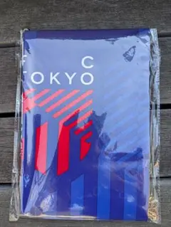 【早い物勝ち！】FC東京オリジナルレジャーシート