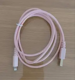 Apple充電器
