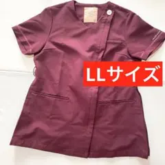 Item thumbnail for item 60575f0b-bf8c-4b42-9664-786991217475