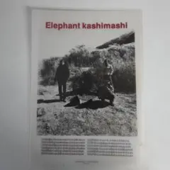 エレファントカシマシ下敷き Elephant Kashimashi タワレコ特典