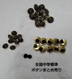 Item thumbnail for item 3194754f-e3d0-4029-96fb-beea72f72ca9