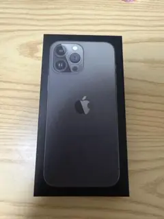 Apple iPhone 13ProMax グラファイト 箱あり 256GB