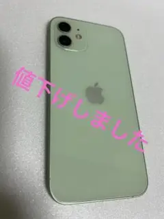 【値下げ交渉あり】Apple iPhone 12ミントグリーン 本体