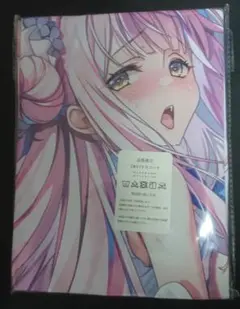 【抱き枕カバー】ブルーアーカイブ ブルアカ 聖園ミカ トモセシュンサク ④-1