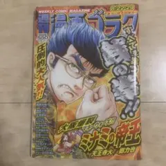 週刊漫画ゴラク　２０２５　８月２２日・２９日号