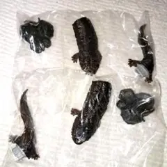 ガチャポン ミニコレクション 両生類01 セット