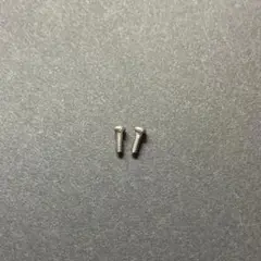 M1.4×4.5mm　 小ネジ　ステンレス　精密機器　機械　眼鏡　腕時計　ゲーム