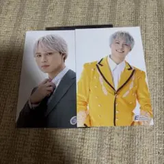 EBIDAN museum 2025 SHOWポストカード