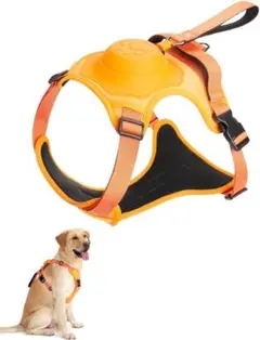 Item thumbnail for item 3bae9077-5d56-4610-a47b-057f1d43585f