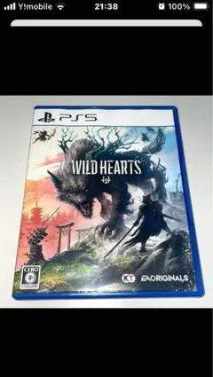 WILD HEARTS PS5