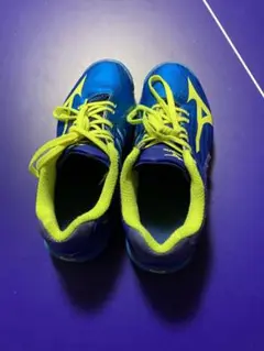 MIZUNO ウェーブドライブZ 25.5㎝
