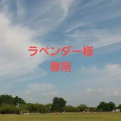 【専用】自然枝　ナラの木 30本セット