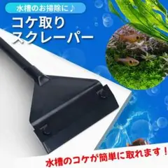 コケ取りスクレーパー 水槽 アクアリウム 軽量 スクイージー 掃除 苔取り