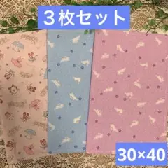 Item thumbnail for item db5f907c-a809-4987-8dd1-41a549e087e9