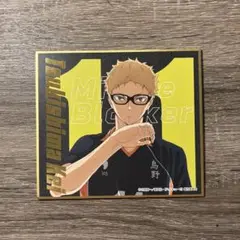 ハイキュー!! ビジュアル色紙コレクション8 【月島蛍】