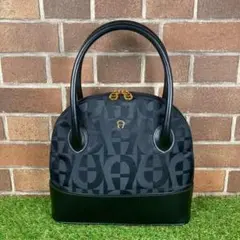 AIGNER【ハンドバッグ】イタリア製 ブラック 半円形