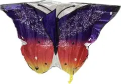 Item thumbnail for item 5c3aef1c-8ee2-41d7-9fc4-bd70f1cccc5e