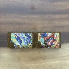ミライドン コライドン ゴールドカードセット