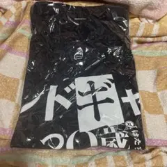 シドギャTシャツ