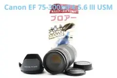 Item thumbnail for item b872200b-5e19-4583-927a-6b62a4374e00
