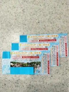よみうりランド　入園ご招待券とのりもの券×3枚セット
