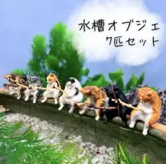 Item thumbnail for item f6752635-09d0-438a-bdec-542a5b741745