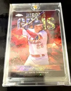 【超希少】Nolan Arenado Hidden Gems Topps