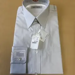 Item thumbnail for item a853c858-0990-46d5-a1a8-9c942d94bc7e