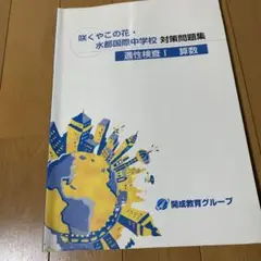 咲くやこの花中学校　水都国際中学校　適性　テキスト　プリント　入試対策　中学受験 咲くやこの花中学校 水都国際中学校 適性 テキスト プリント