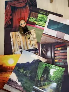 背景布 8枚セット バラ売り不可