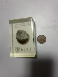 南京大学　置物